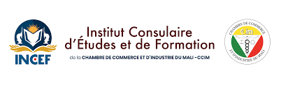 Illustration INCEF Bamako
